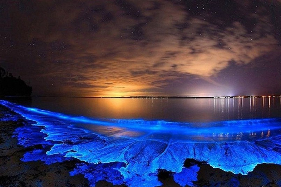 du lịch Maldives 2