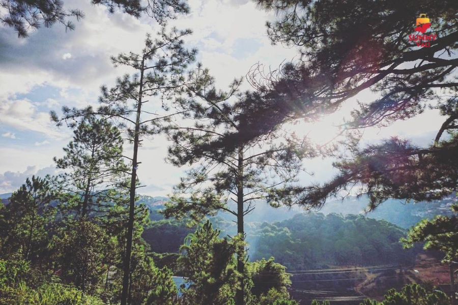 thiên vương cổ sát 3